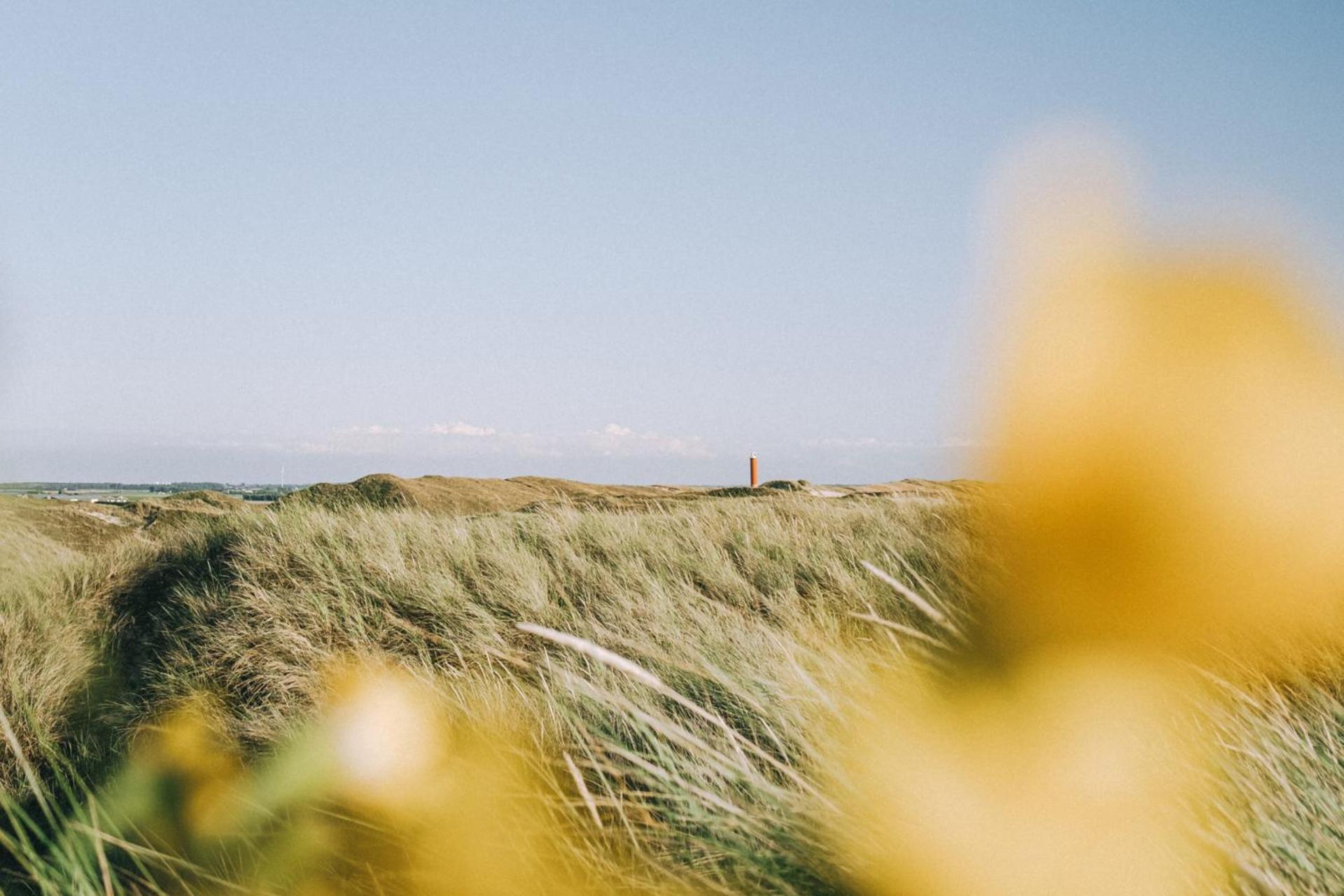 De Duintuin - In De Duinen, Groote Keeten Aan Zee Callantsoog Zewnętrze zdjęcie