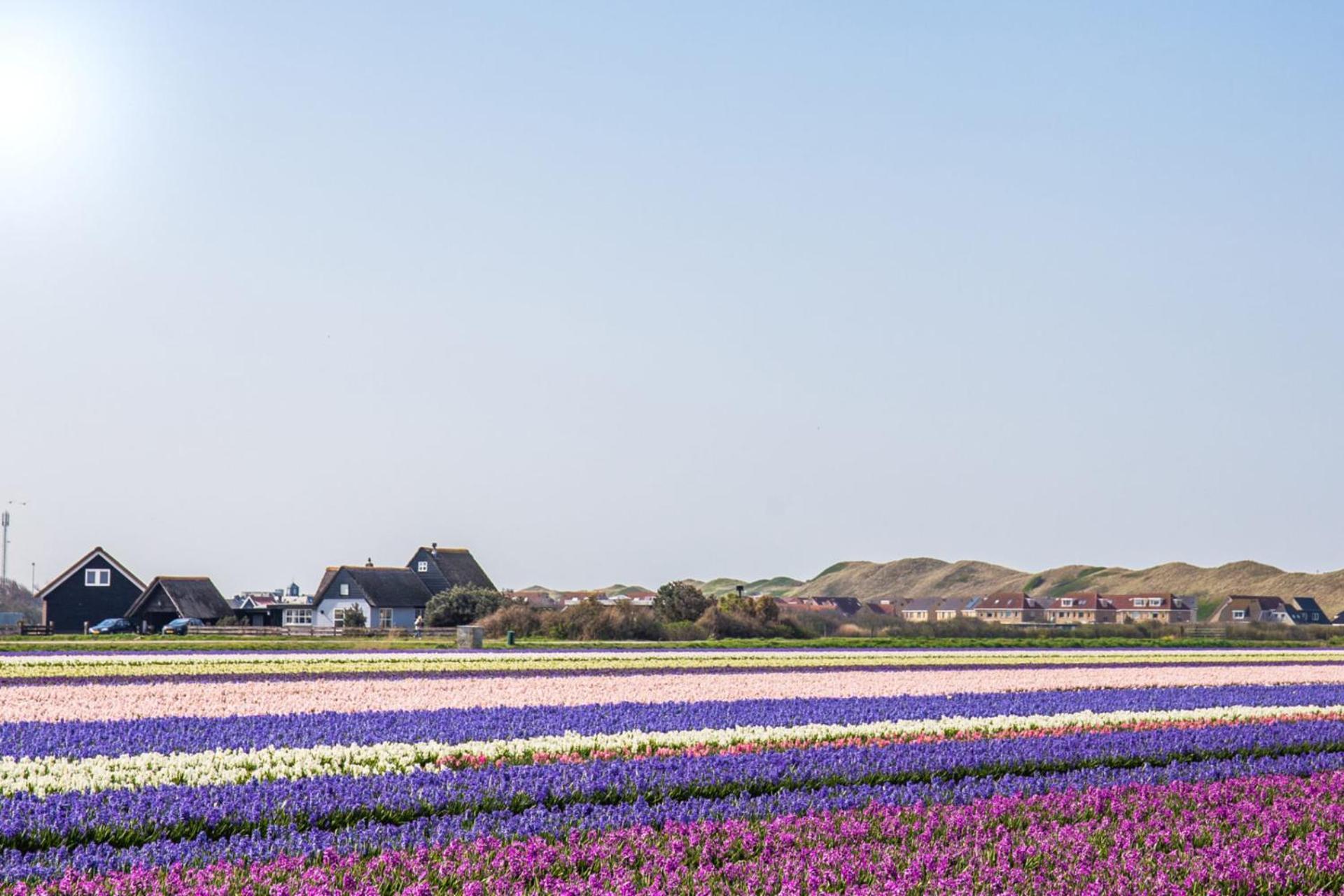 De Duintuin - In De Duinen, Groote Keeten Aan Zee Callantsoog Zewnętrze zdjęcie